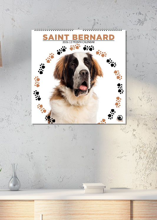 Saint Bernard - Square Calendar 2026