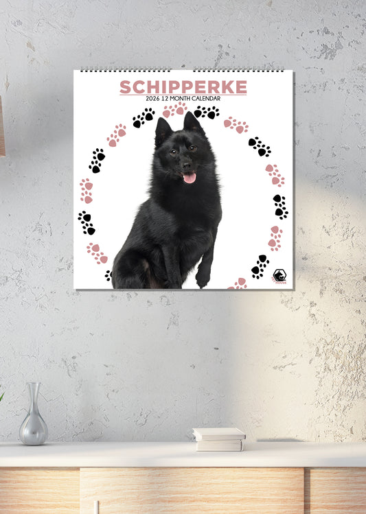 Schipperke - Square Calendar 2026