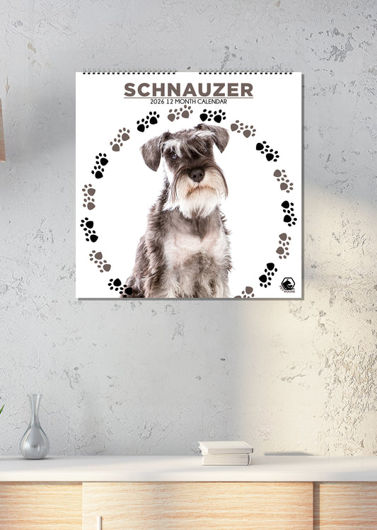 Schnauzer - Square Calendar 2026