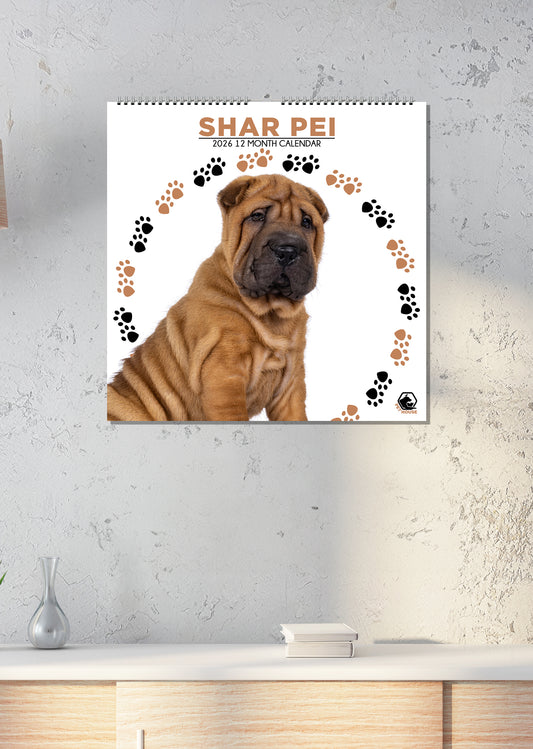 Shar Pei - Square Calendar 2026