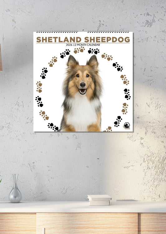 Shetland Sheepdog - Square Calendar 2026