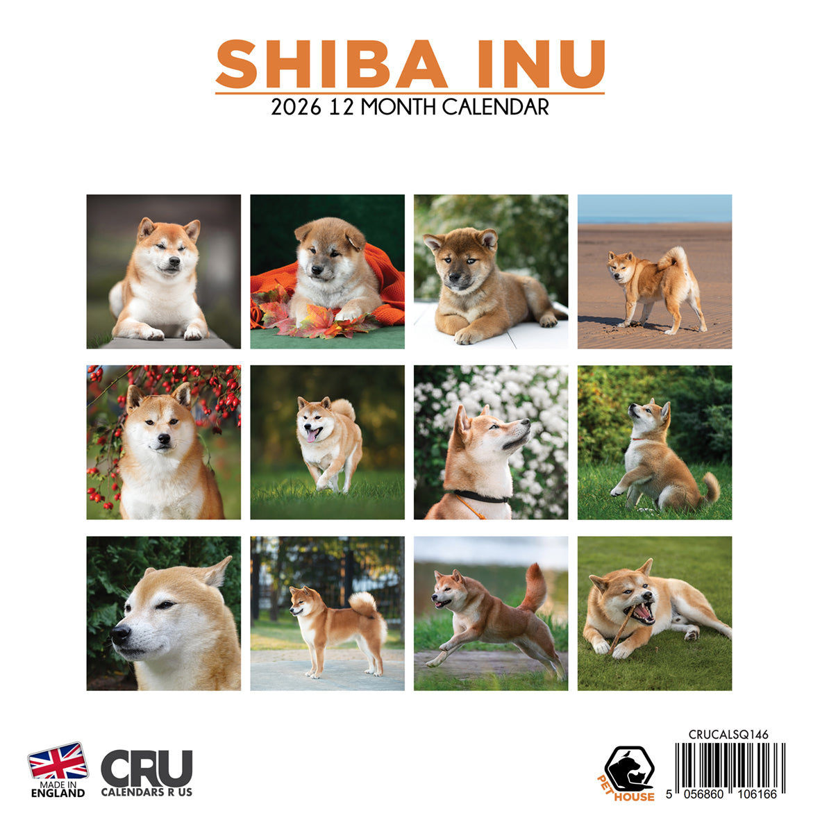 Shiba Inu - Square Calendar 2026