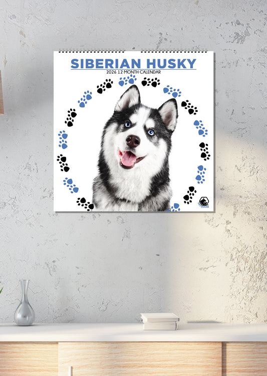 Siberian Husky - Square Calendar 2026