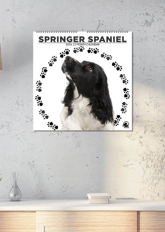 Springer Spaniel - Square Calendar 2026