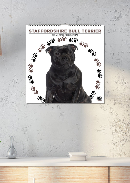 Staffordshire Bull Terrier - Square Calendar 2026