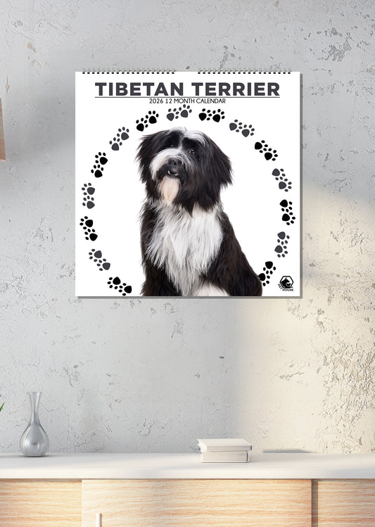 Tibetan Terrier - Square Calendar 2026