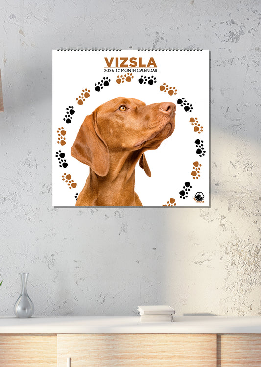 Vizsla - Square Calendar 2026
