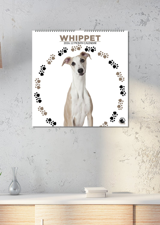Whippet - Square Calendar 2026