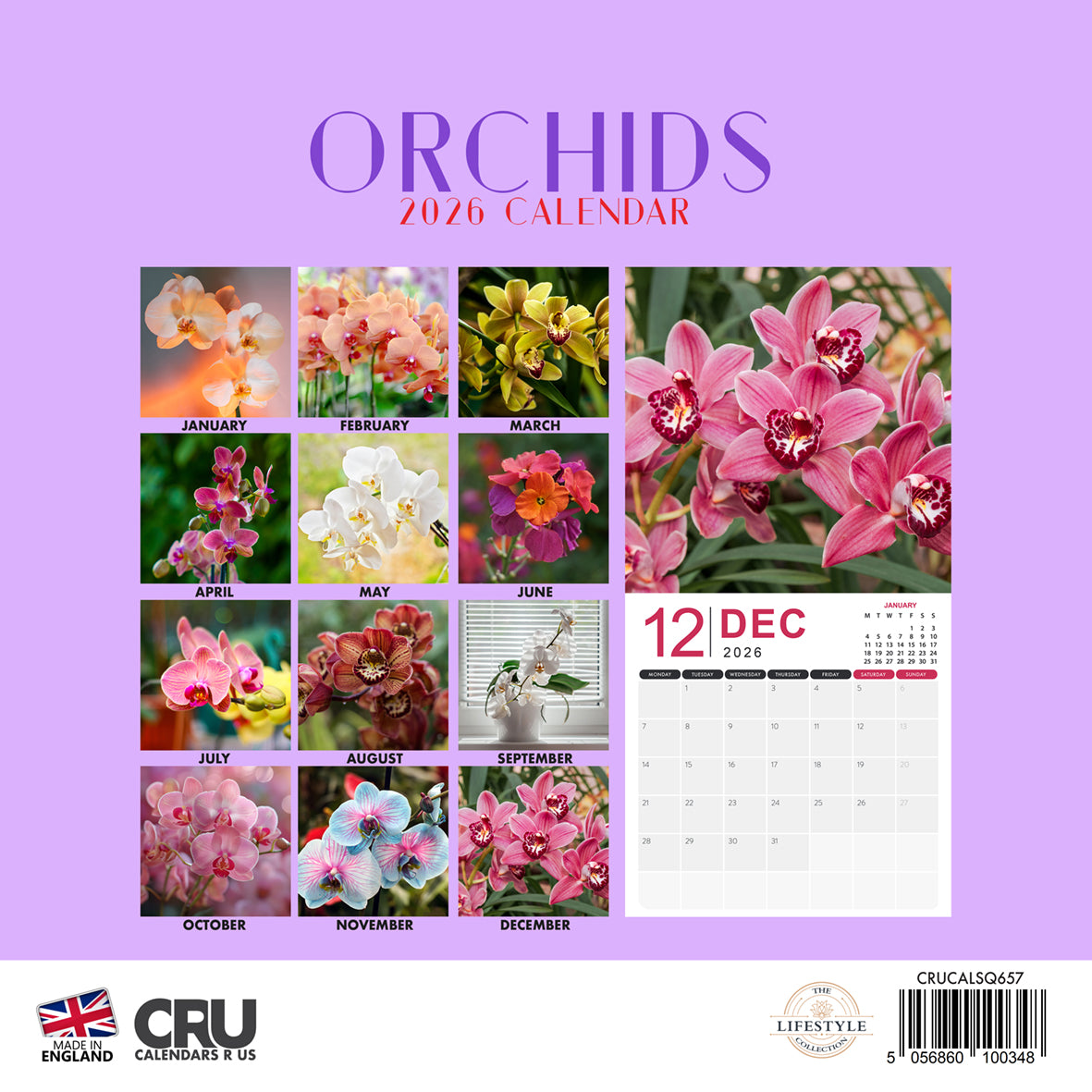 Orchids - Calendar 2026