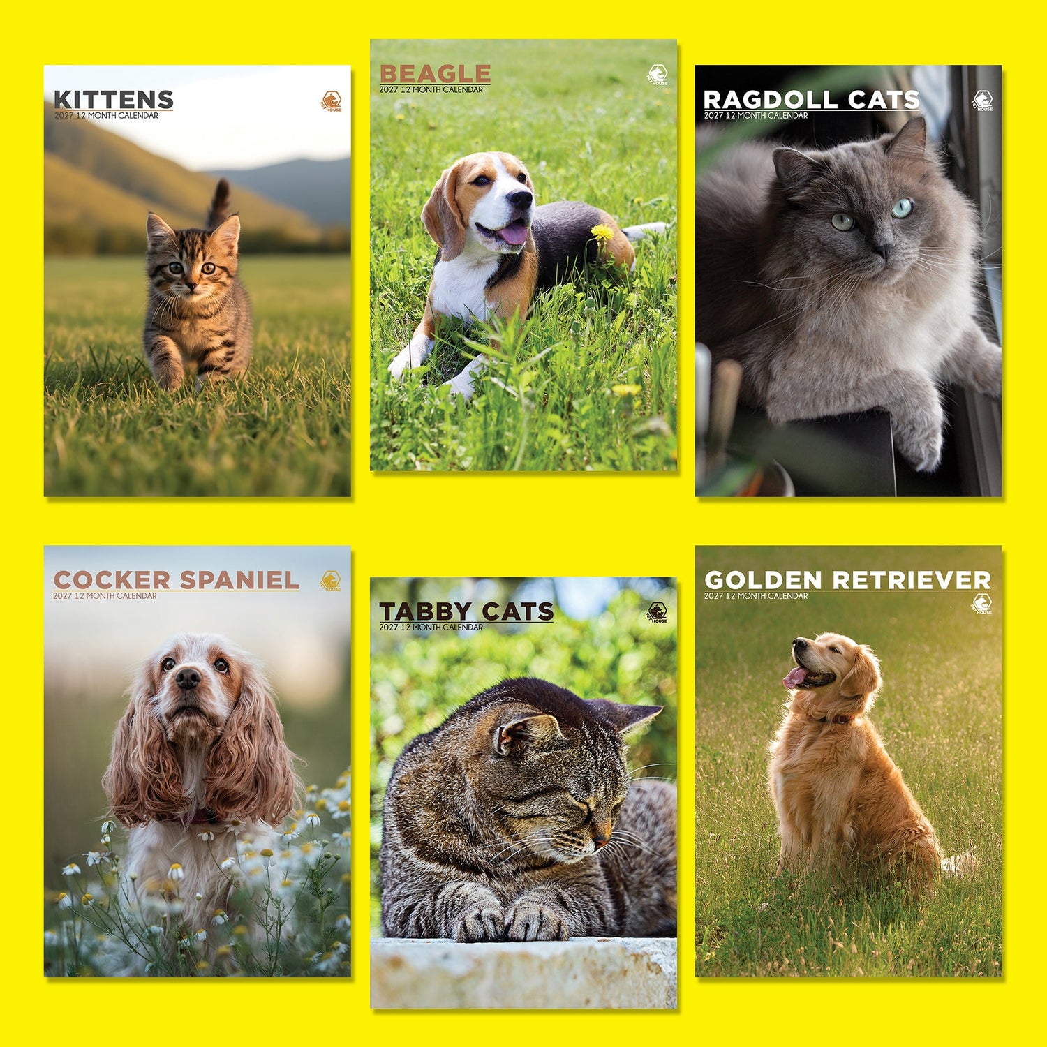 Cat & Dog Calendars