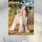 Afghan Hound Calendar 2025