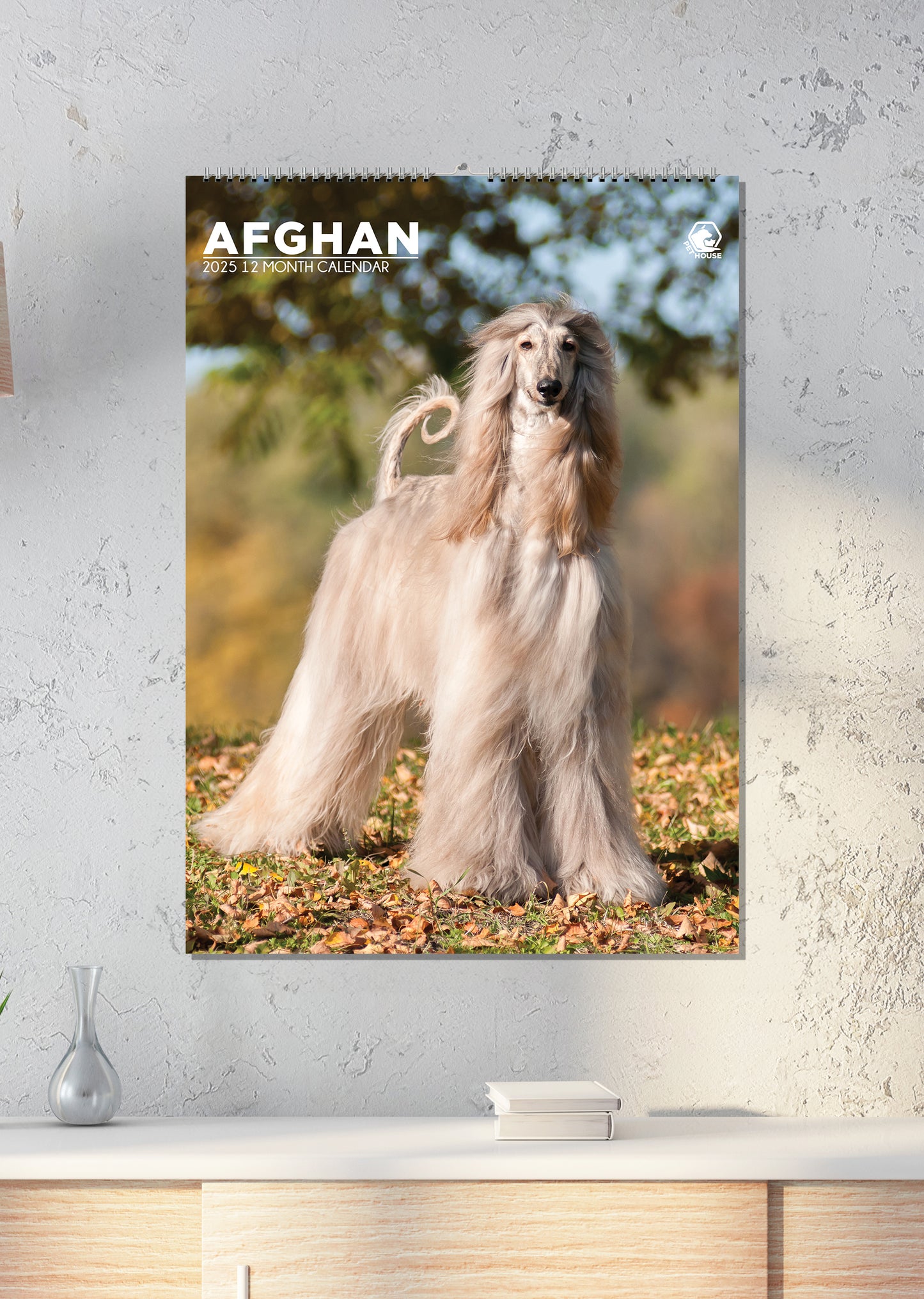 Afghan Hound Calendar 2025