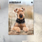 Airedale Terrier Calendar 2025