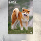 Akita Calendar 2025