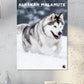 Alaskan Malamute Calendar 2025