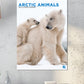 Arctic Animals Calendar 2025