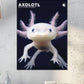 Axolotl Calendar 2025