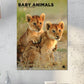 Baby Animals Calendar 2025