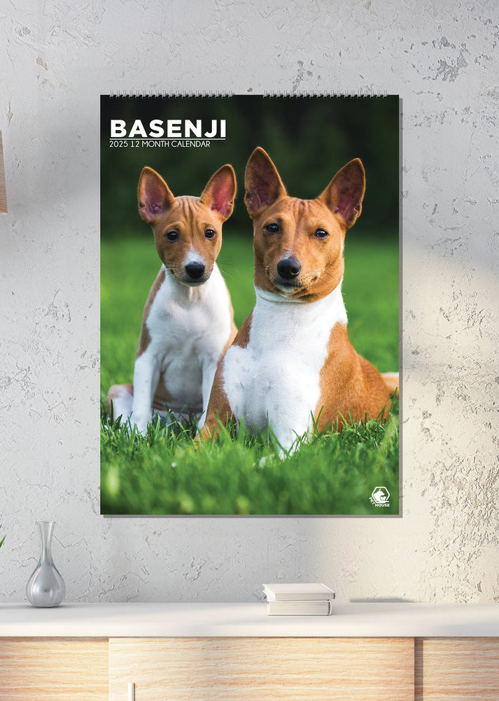 Basenji Calendar 2025 CalendarsRus