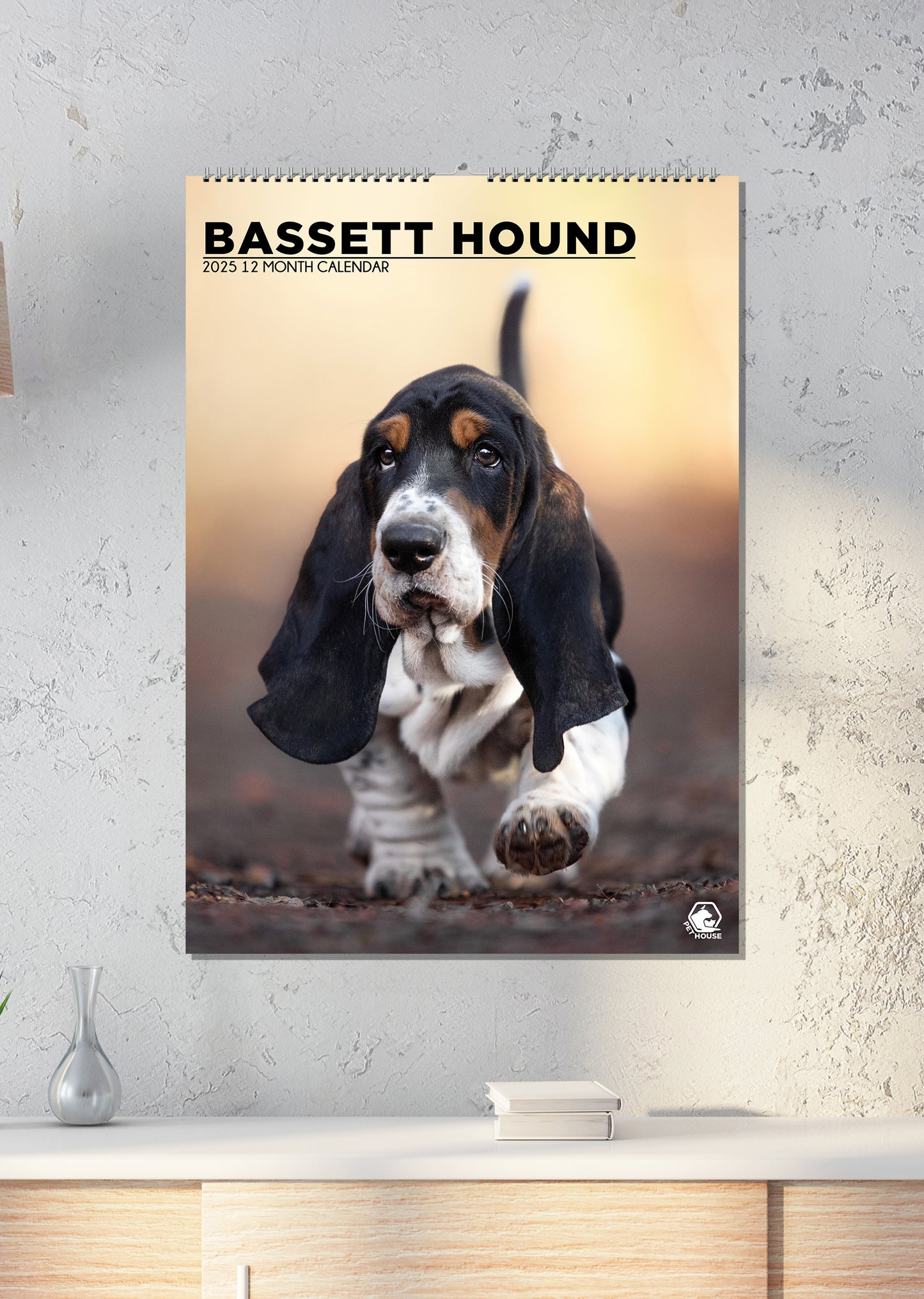 Bassett Hound Calendar 2025