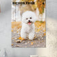 Bichon Frise Calendar 2025