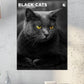 Black Cats Calendar 2025