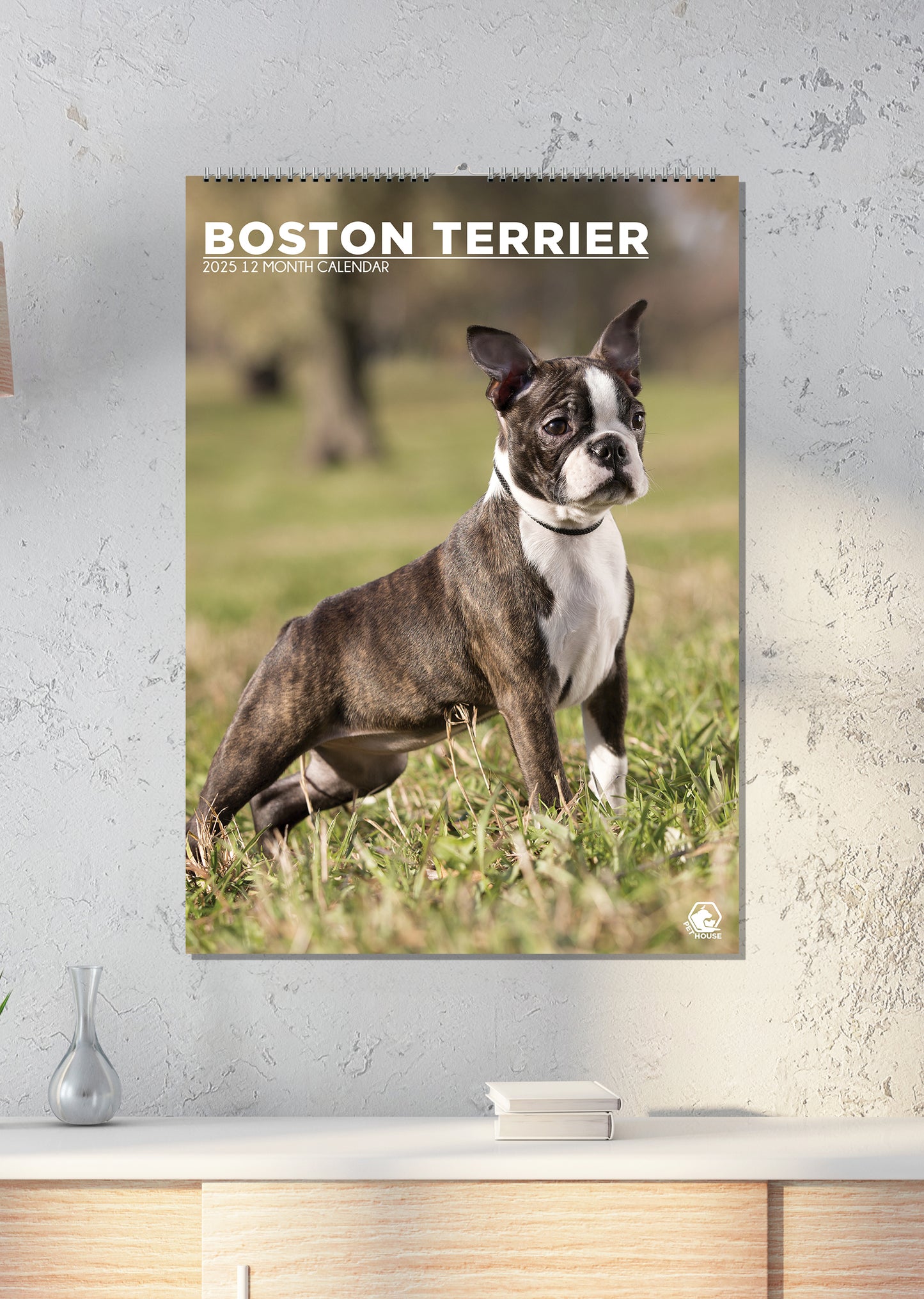 Boston Terrier Calendar 2025