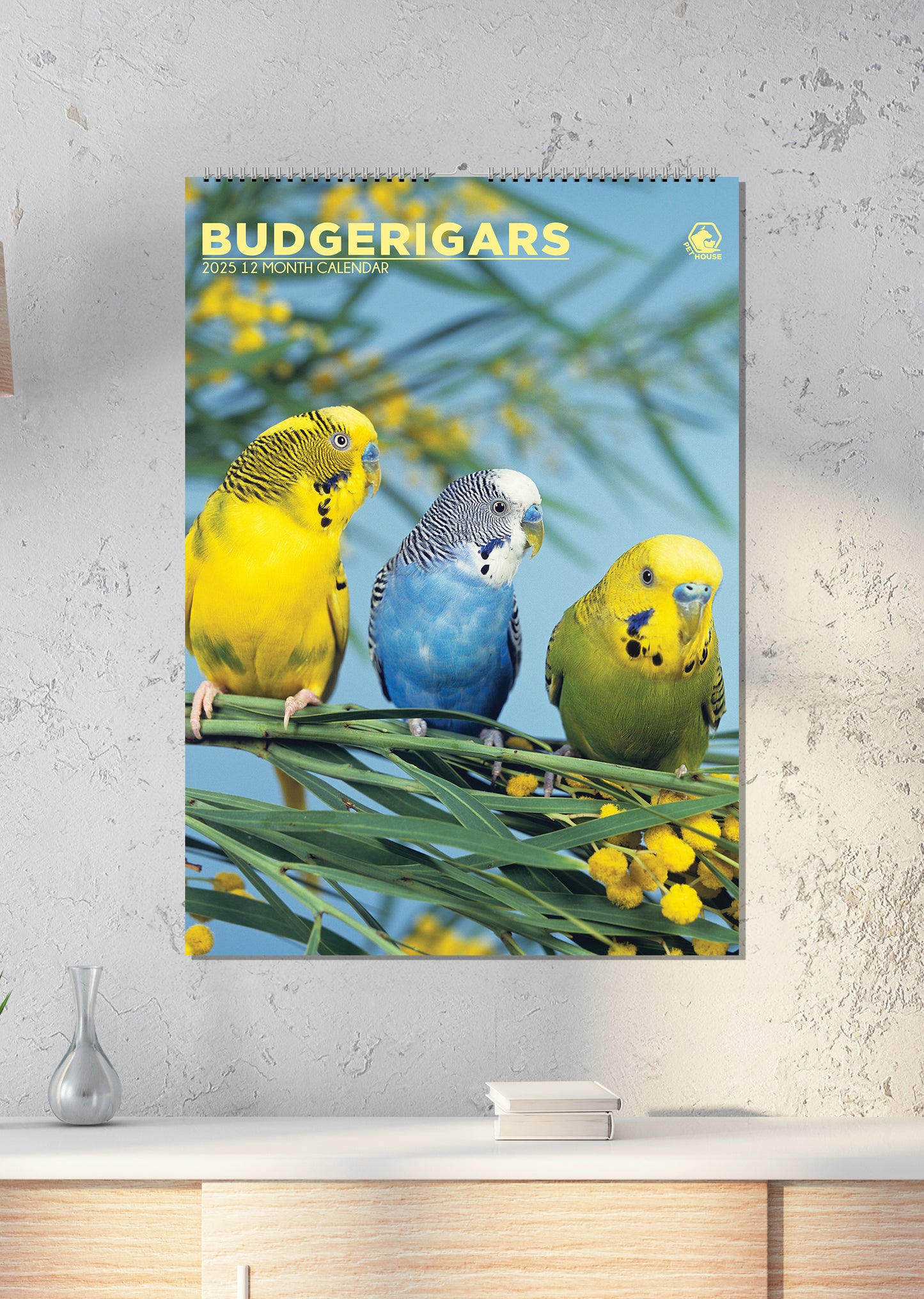 Budgerigars Calendar 2025