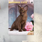 Burmese Cats Calendar 2025