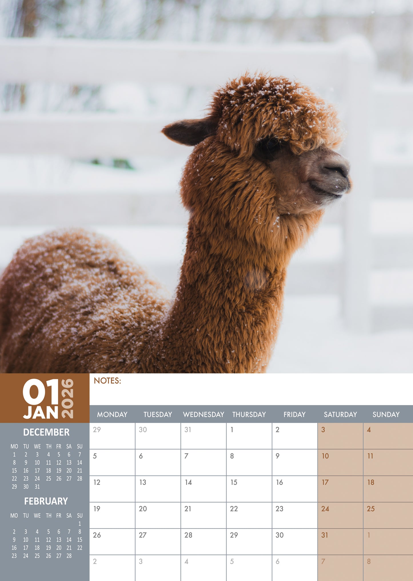 Alpacas - A3 Calendar 2026