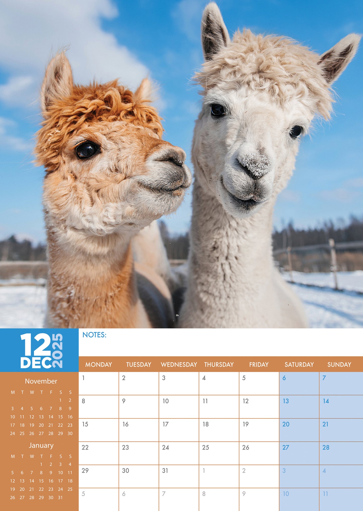 Alpacas Calendar 2025