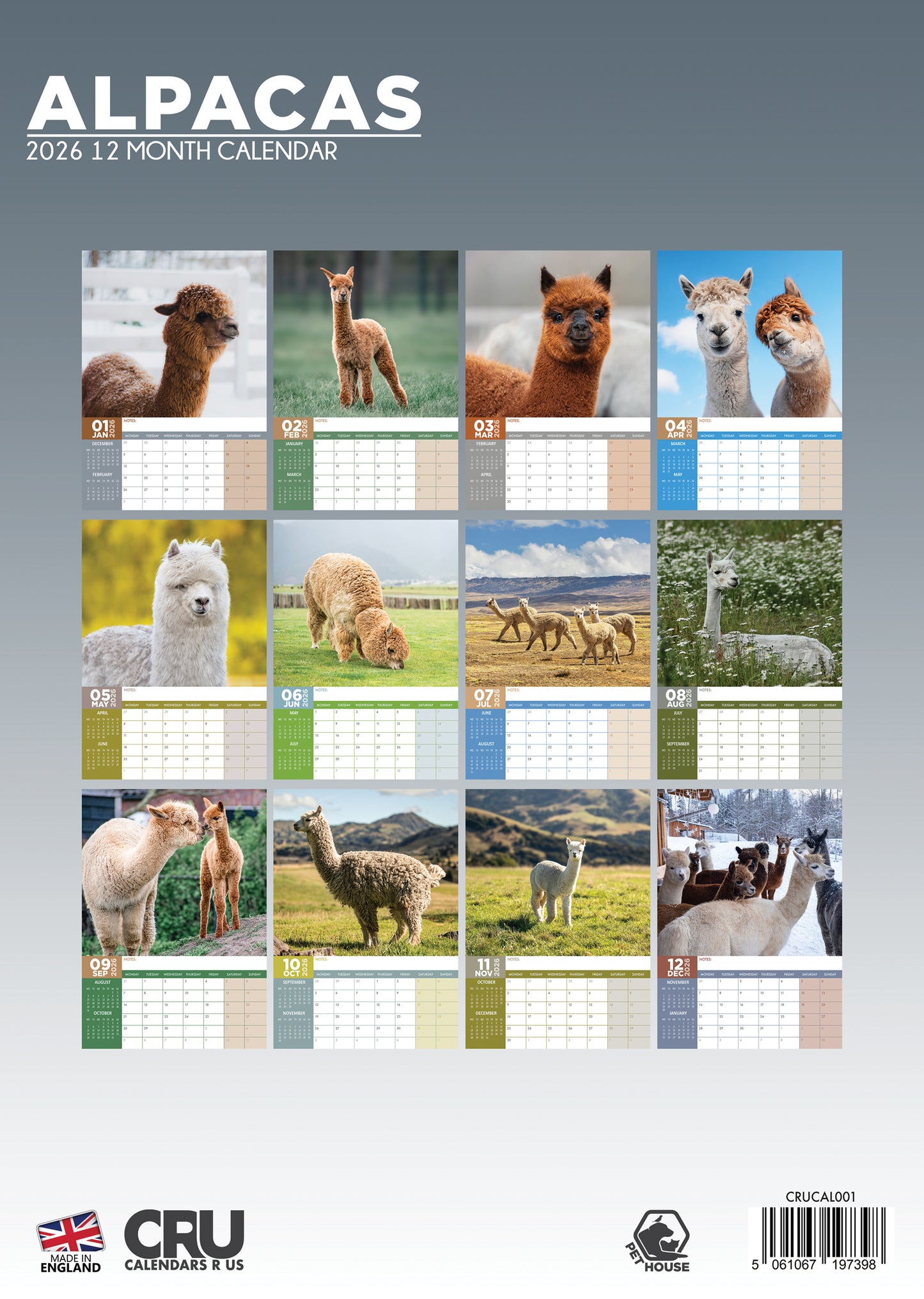 Alpacas - A3 Calendar 2026