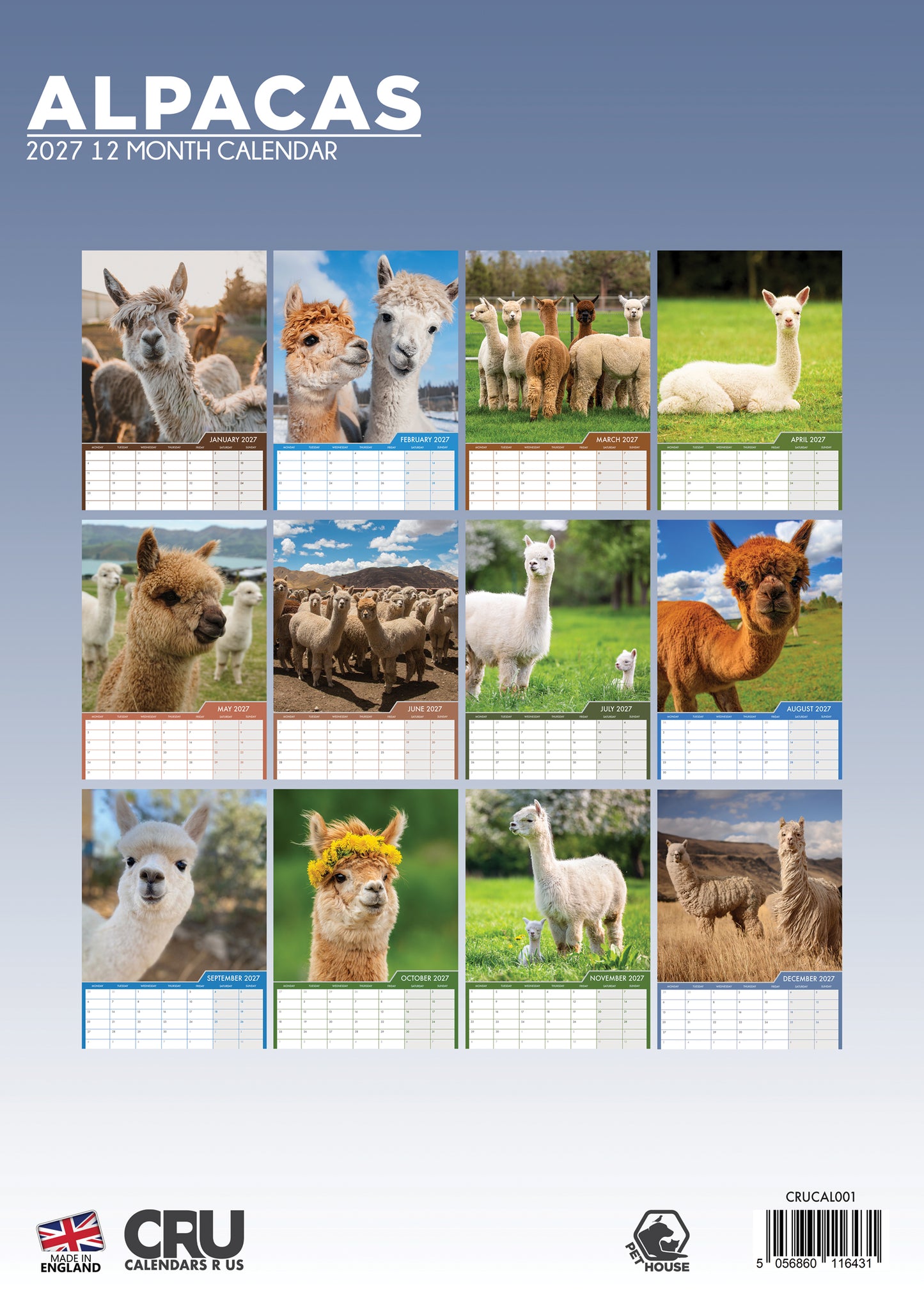 Alpacas - A3 Calendar 2027
