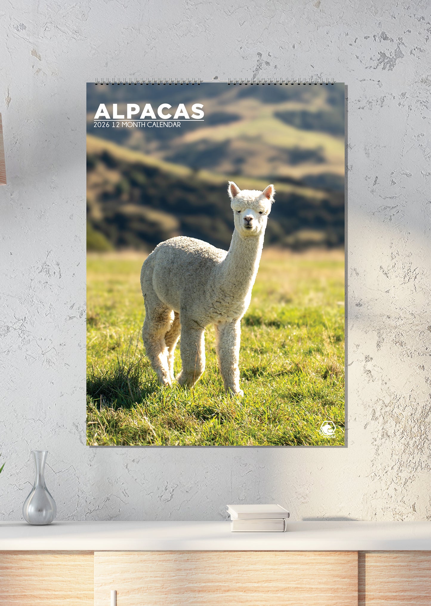 Alpacas - A3 Calendar 2026