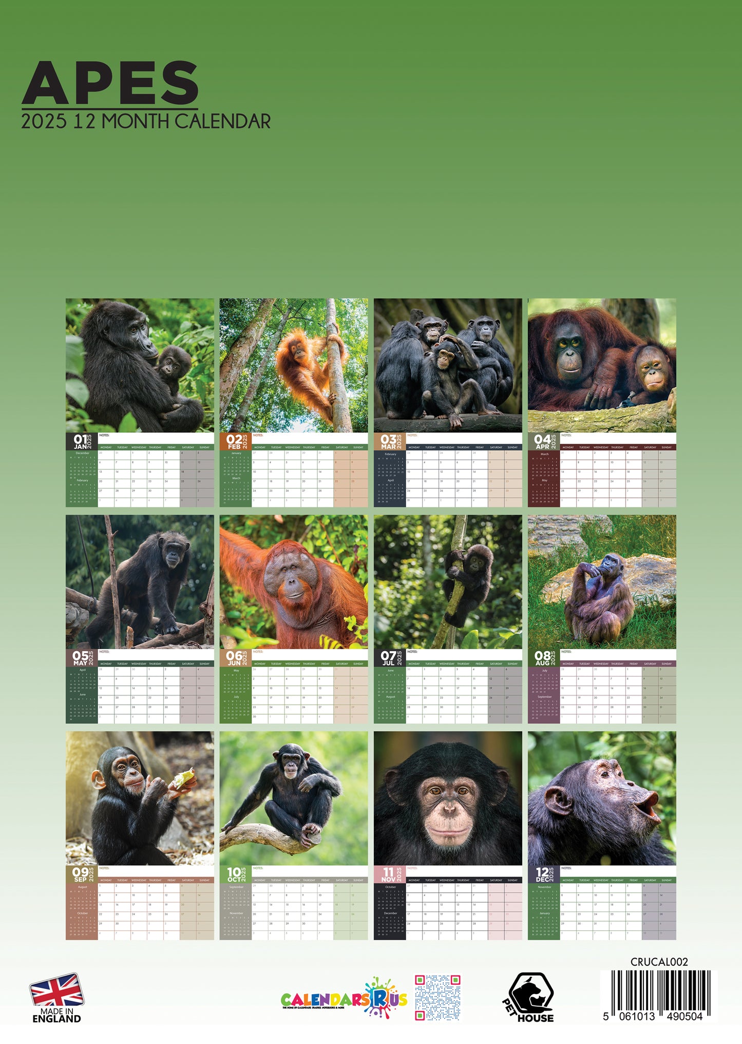Apes Calendar 2025
