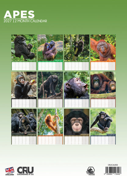 Apes - A3 Calendar 2027