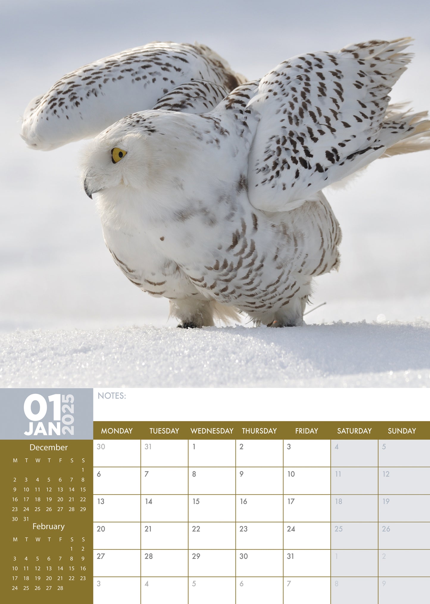 Arctic Animals Calendar 2025