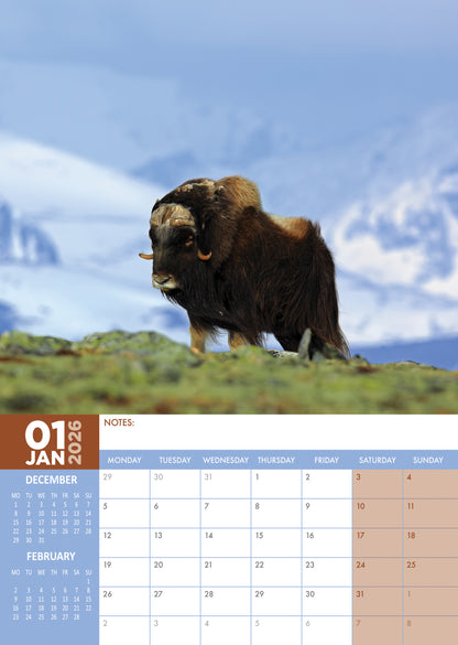 Arctic Animals - A3 Calendar 2026
