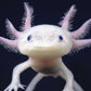 Axolotl Calendar 2025