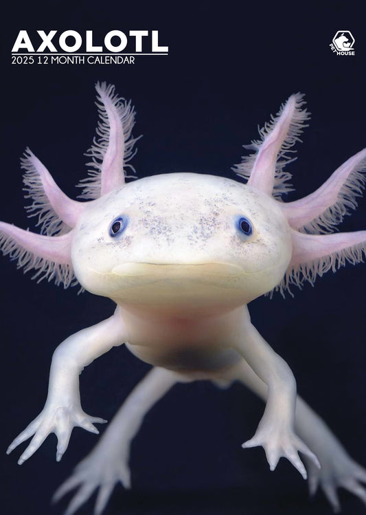 Axolotl Calendar 2025