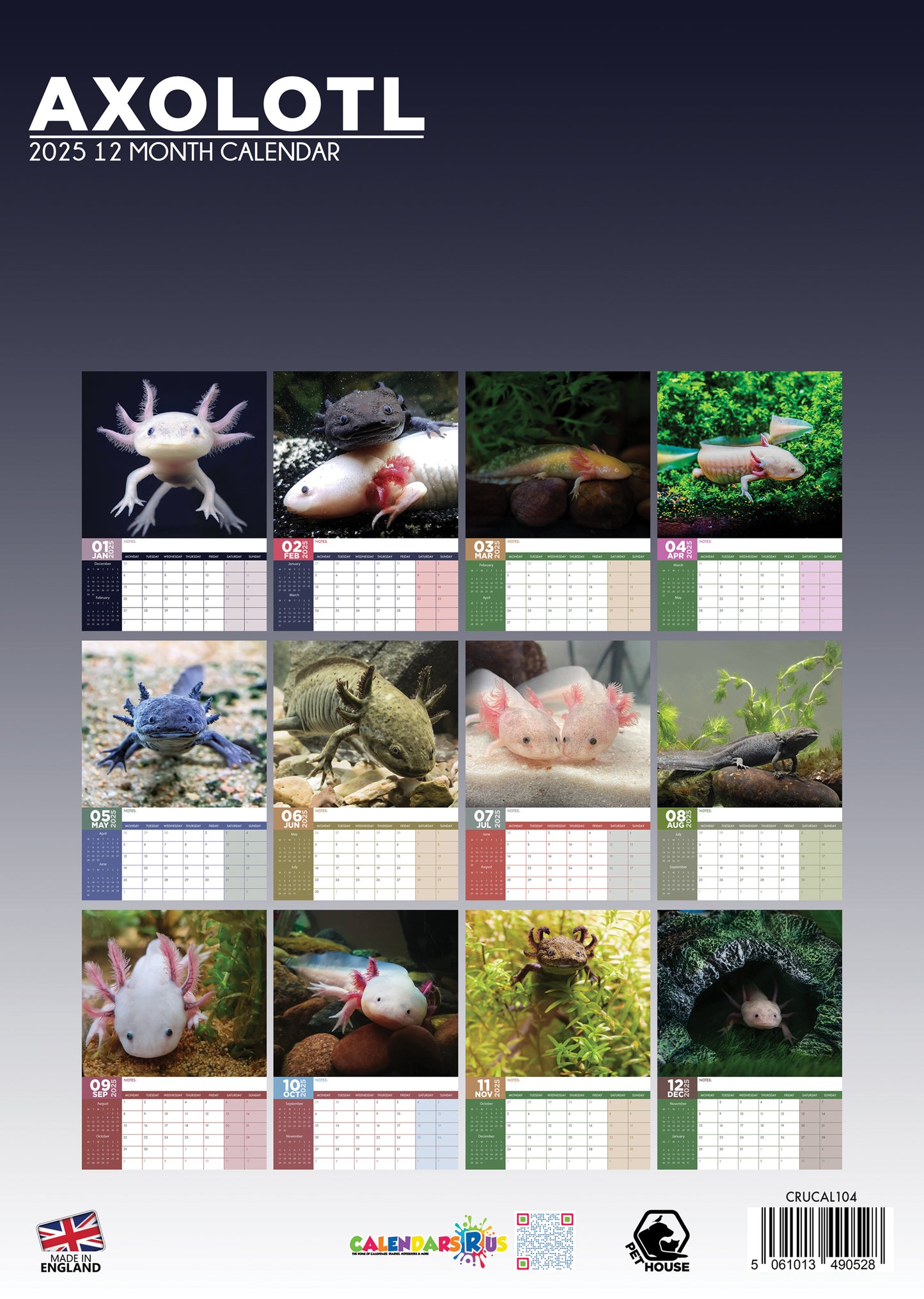 Axolotl Calendar 2025