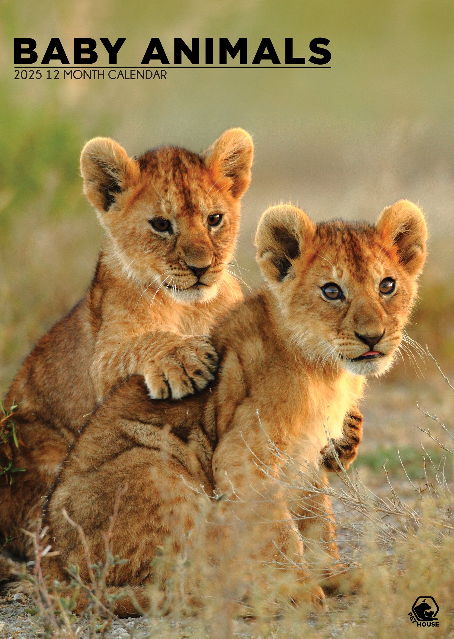 Baby Animals Calendar 2025 CalendarsRus National Geographic Baby Animals Calendar 2025