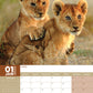 Baby Animals Calendar 2025