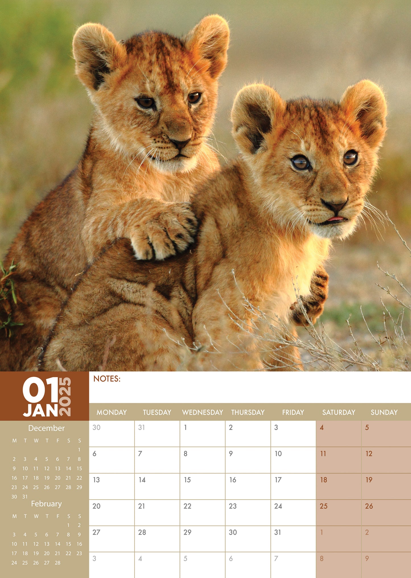 Baby Animals Calendar 2025