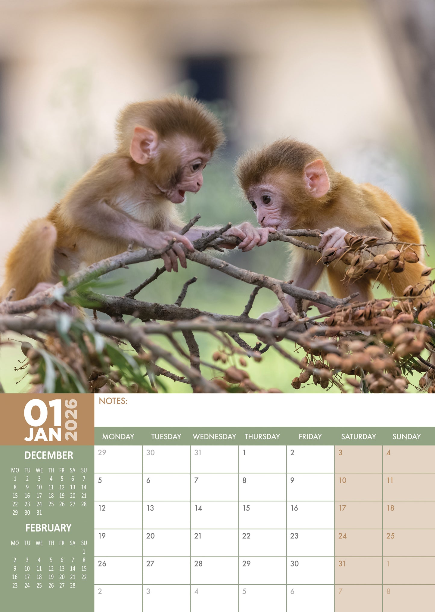 Baby Animals - A3 Calendar 2026