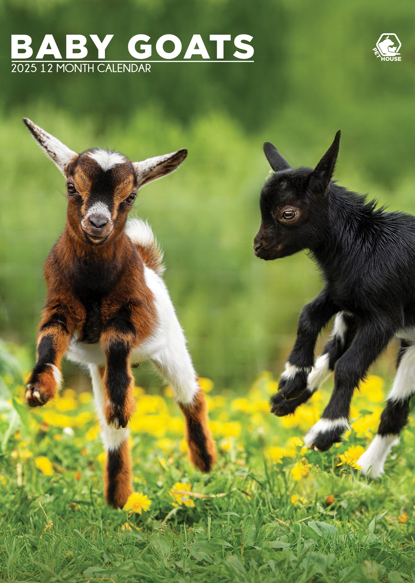 Baby Goats Calendar 2025 CalendarsRus