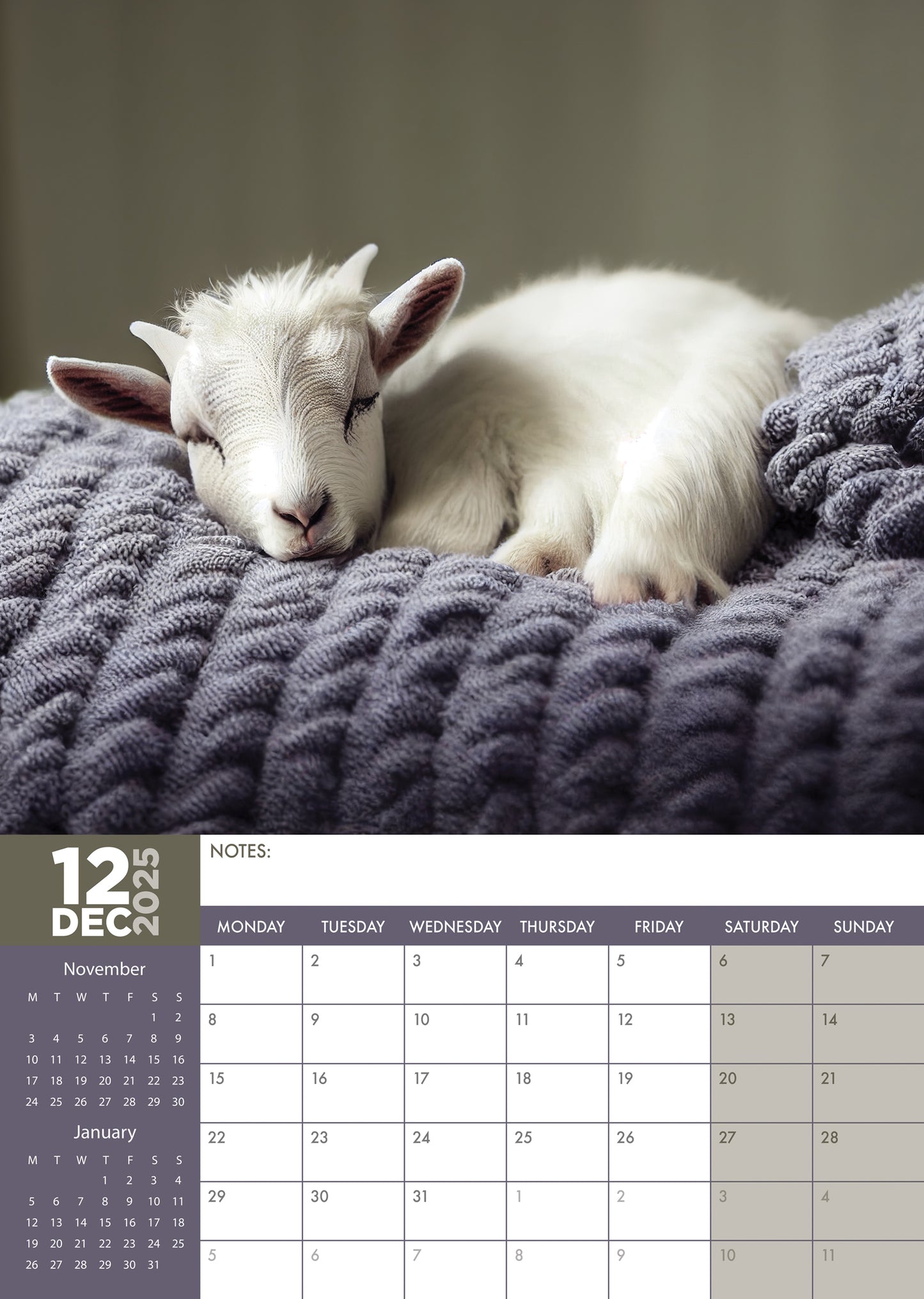 Baby Goats Calendar 2025