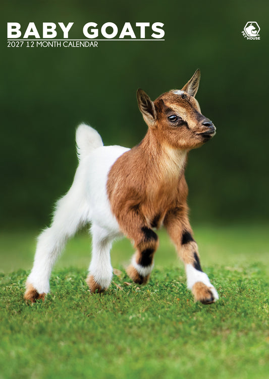 Baby Goats - A3 Calendar 2027