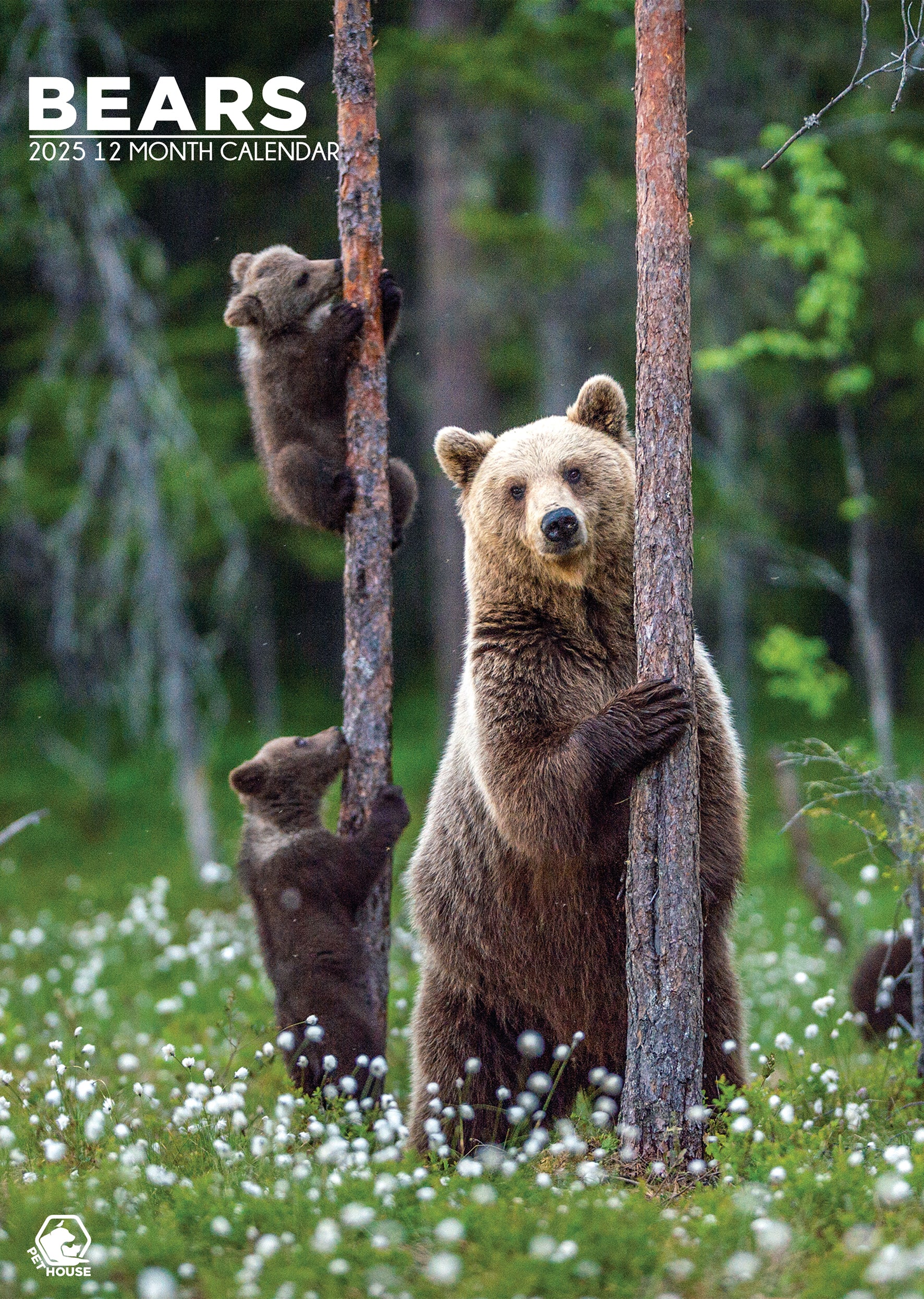 Bears Calendar 2025 CalendarsRus