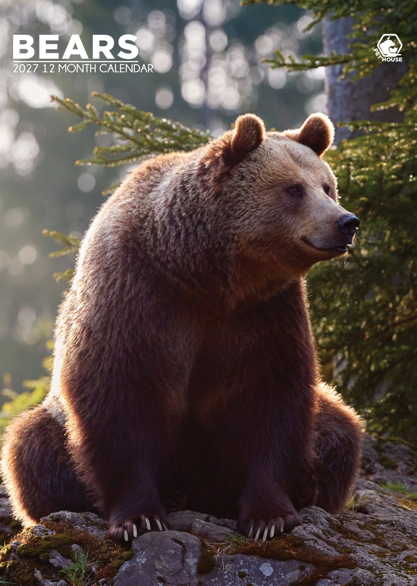 Bears - A3 Calendar 2027